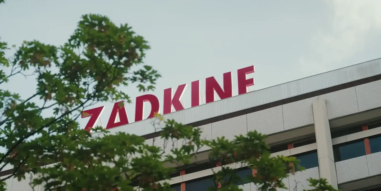 Werken bij Zadkine