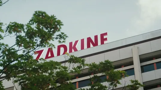 Werken bij Zadkine